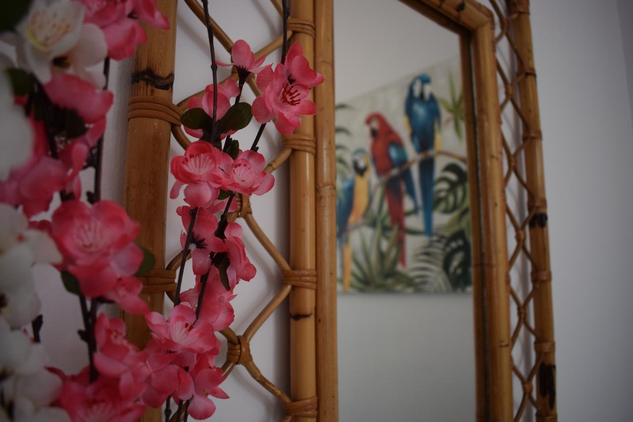 Casa Cinzia Panzió Las Palmas de Gran Canaria Kültér fotó